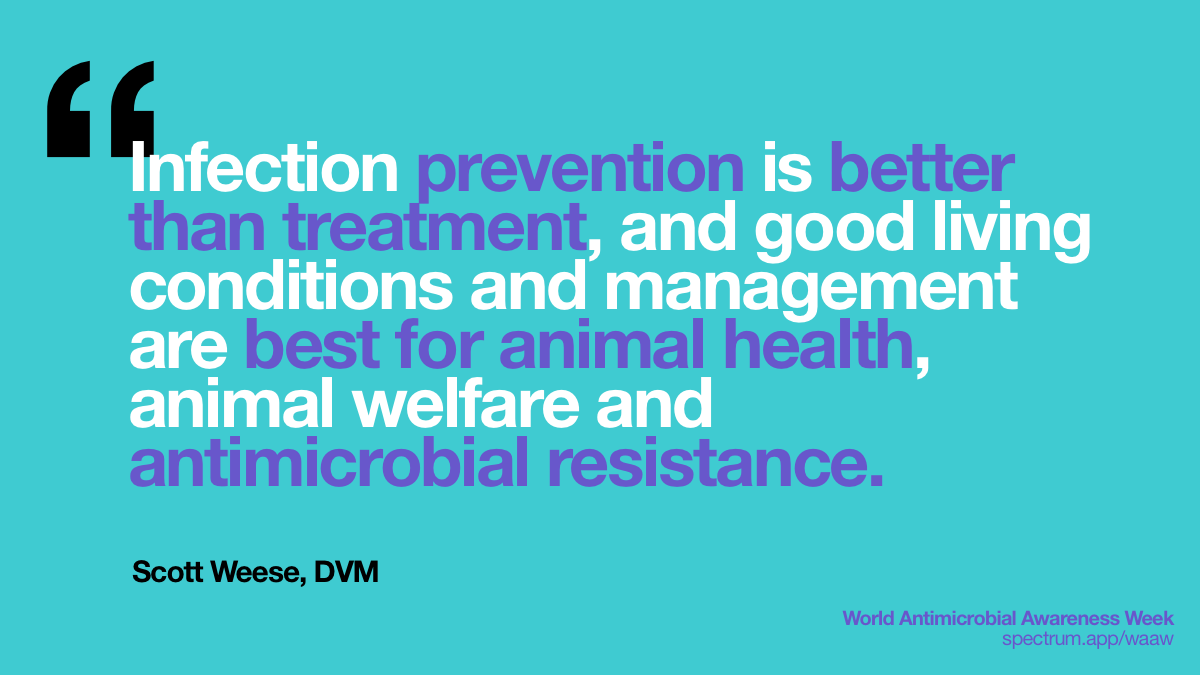 Infection
  prevention is better than treatment, and good living conditions and management
  are best for animal health, animal welfare and antimicrobial resistance.